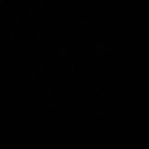 Meet your Posher, Madyson